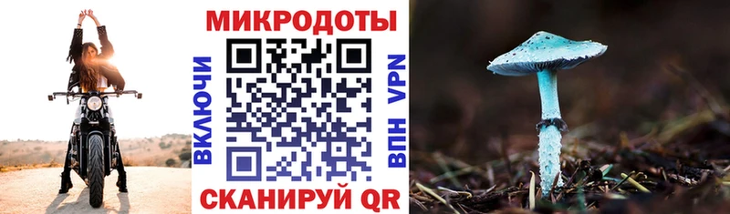 Купить закладки  Оленегорск  Псилоцибиновые грибы Cubensis 